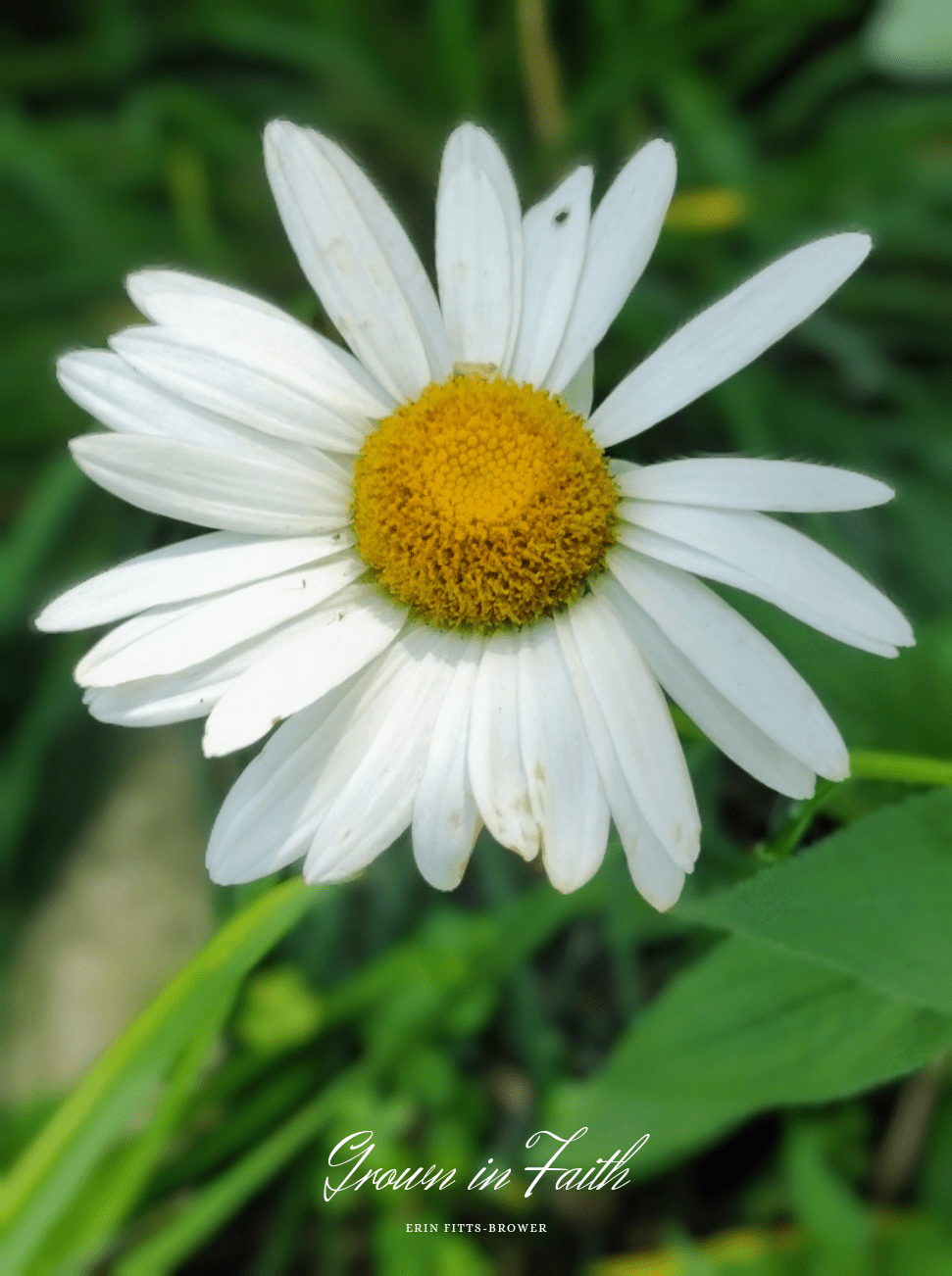 In Him we can&nbsp;depend